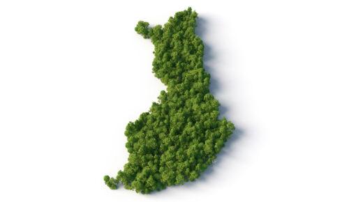 KUVA iStock